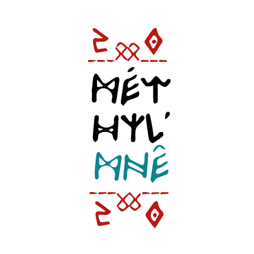 methylmne_logo